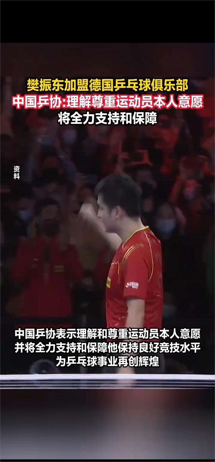 波兰乒乓球队血洗德国乒乓球队，樊振东送出助攻的简单介绍