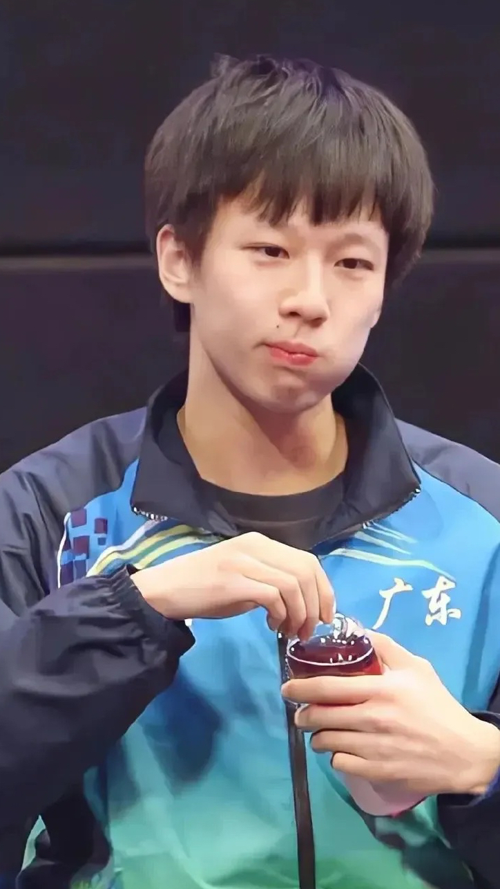 中国乒乓球队爆冷波兰乒乓球队，水谷隼高光表现的简单介绍