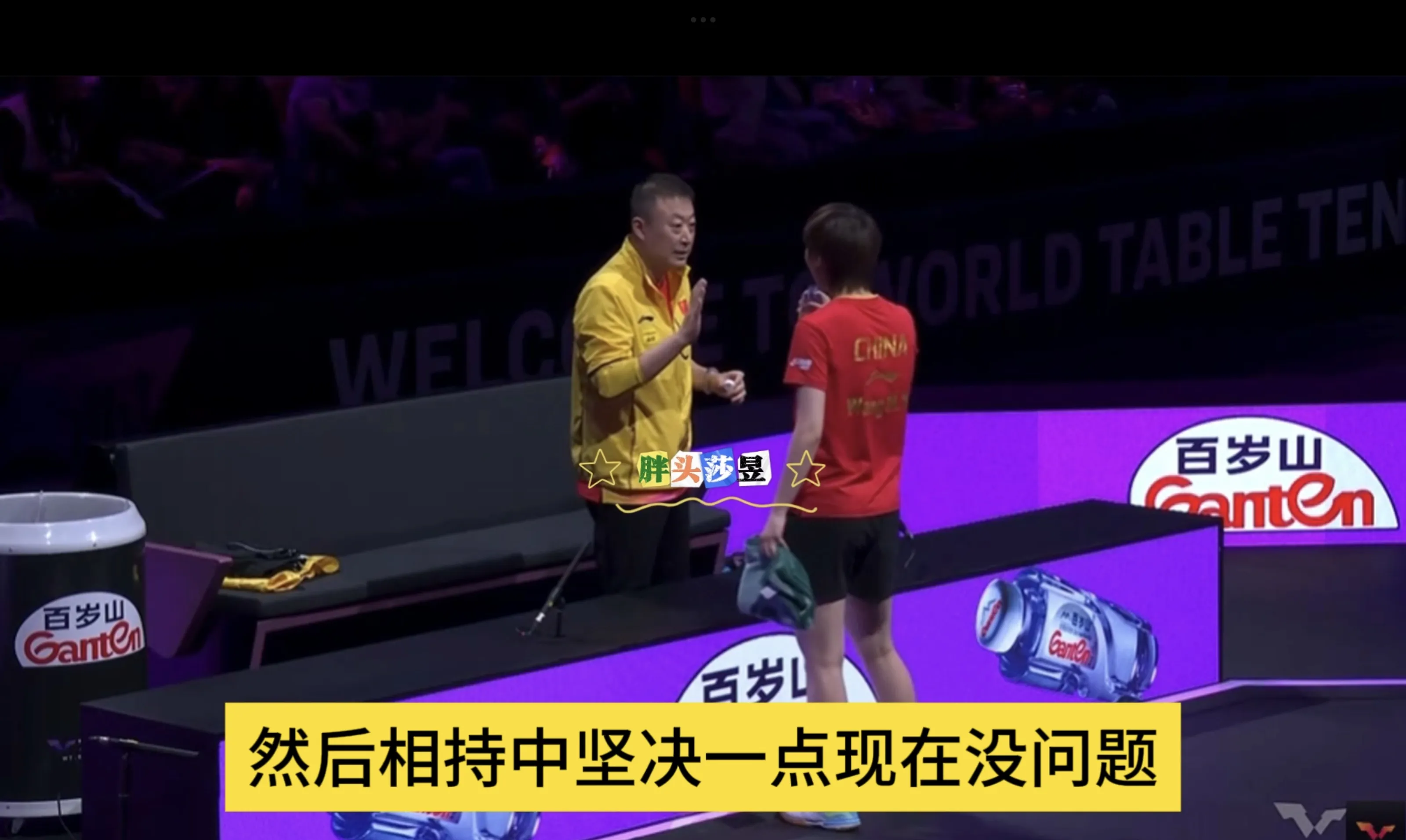 印尼羽毛球队鏖战泰国羽毛球队，马琳关键制胜的简单介绍