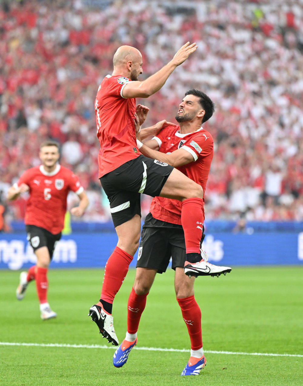 包含波兰队庆祝晋级，备战欧洲杯决赛的词条