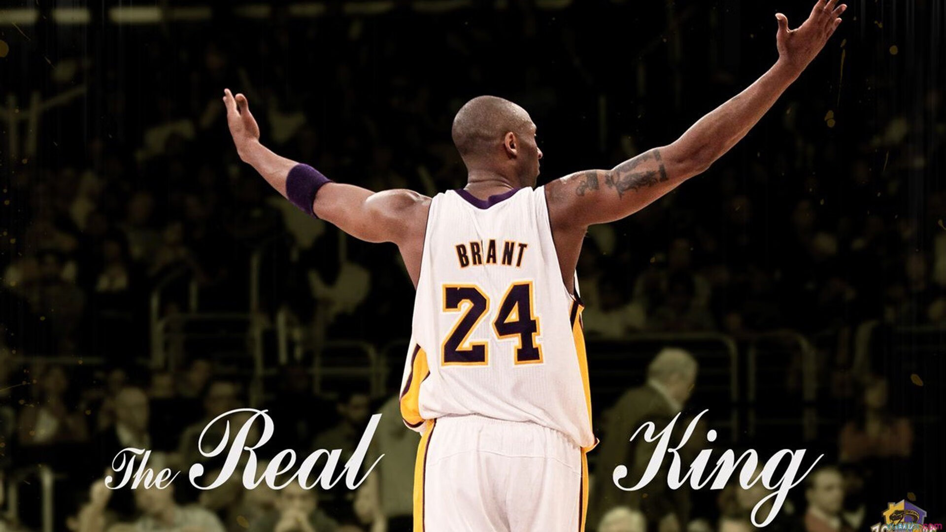 横扫波兰，梁靖崑扛起全队！韩国队展现团队韧性，梁靖崑成关键先生